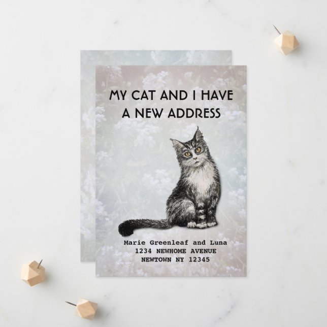 Meu gato e eu mudamos o anúncio (Frente/Verso In Situ)