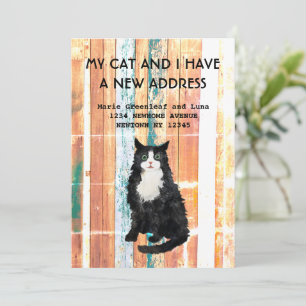 Meu gato e eu mudamos o anúncio