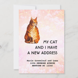 Meu gato e eu mudamos o anúncio