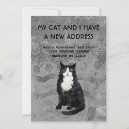 Meu gato e eu nos mudamos Anúncio