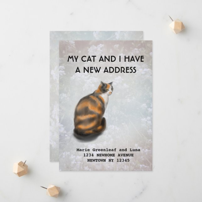 Meu gato e eu nos mudamos Anúncio (Frente/Verso In Situ)