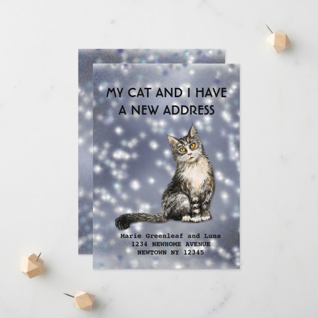 Meu gato e eu nos mudamos Anúncio (Frente/Verso In Situ)