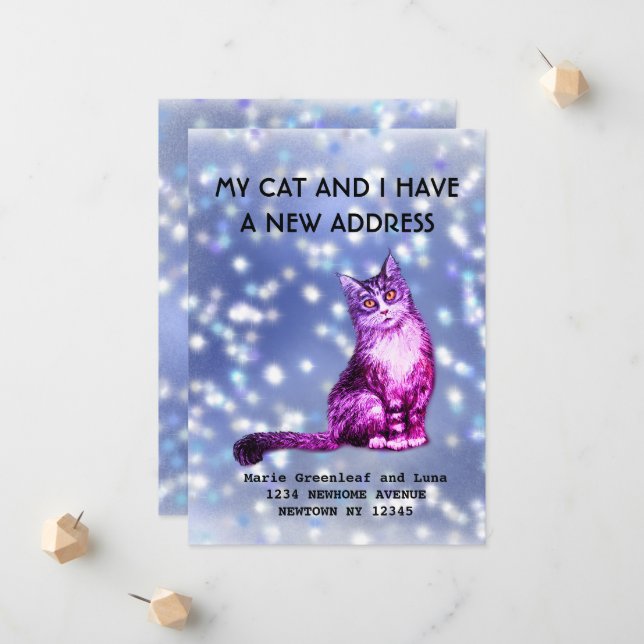 Meu gato e eu nos mudamos Anúncio (Frente/Verso In Situ)