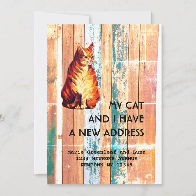 Meu gato e eu nos mudamos Anúncio (Frente)