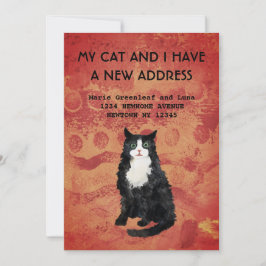 Meu gato e eu nos mudamos Anúncio