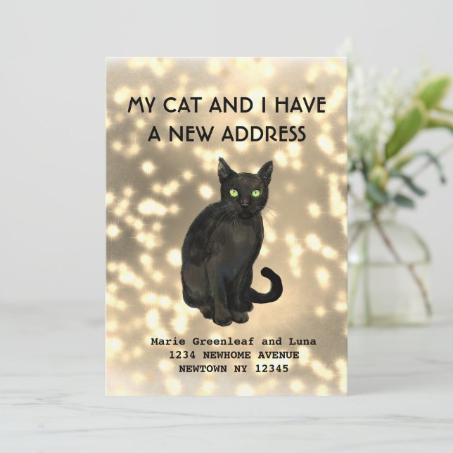 Meu gato e eu nos mudamos Anúncio (Em pé/Frente)