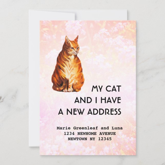 Meu gato e eu nos mudamos Anúncio (Frente)