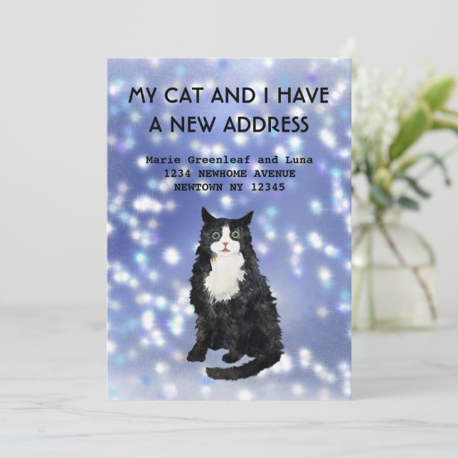 Meu gato e eu nos mudamos Anúncio (Em pé/Frente)