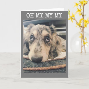 MEU MEU QUE VOCÊ ESTÁ RODANDO ***16** CARTÃO