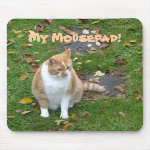 Meu Mousepad
