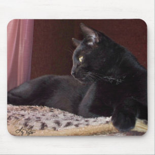 Meu Rapaz, Charlie Mousepad