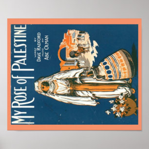 Meu rosa do poster de Palestina