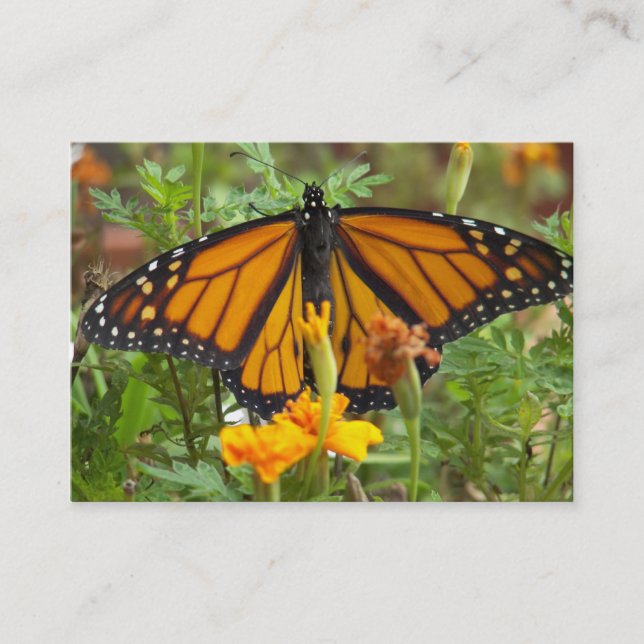 Meus cartões de visitas de borboleta Monarch (Frente)