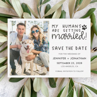 Meus humanos casando com fotos de cachorro, salve 