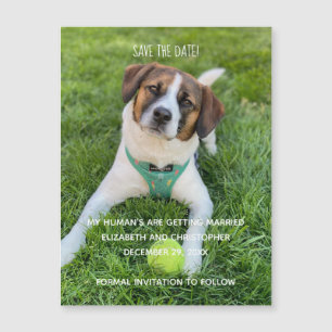 Meus Humanos Estão se Casando Foto Salve a Data