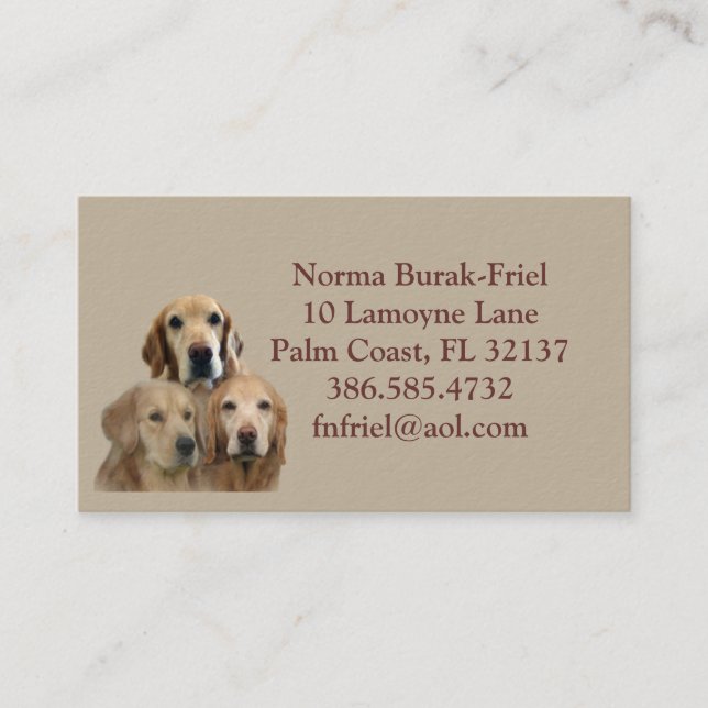 Meus miúdos têm o cartão de visita 2012 de 4 pés (Frente)