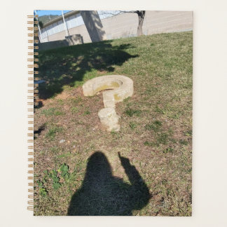 Mi agenda de preguntas 