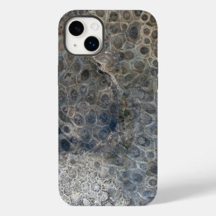 Michigan Petoskey Stone Design