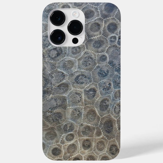 Michigan Petoskey Stone Design (Verso)