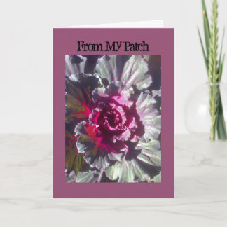 Mim arte e design, cartões da queda da flor da