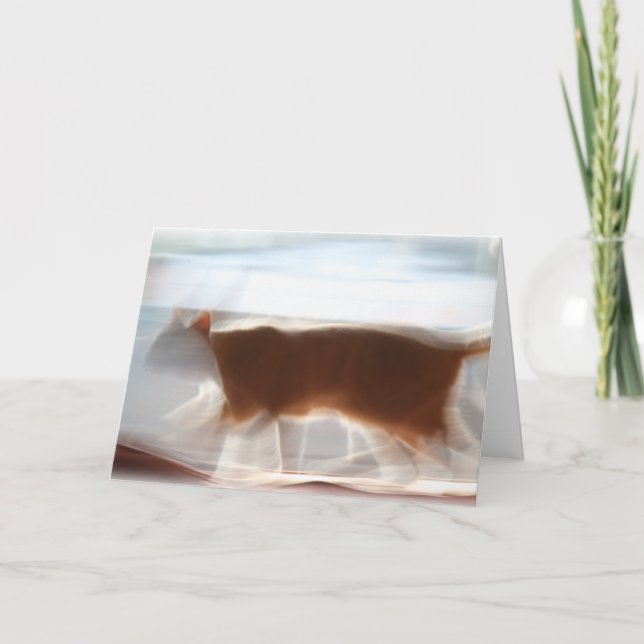 Mim primeiramente!!! Cartão (Frente)