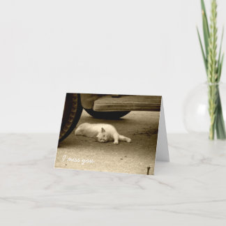 Mim senhorita Você Cartão - gato só