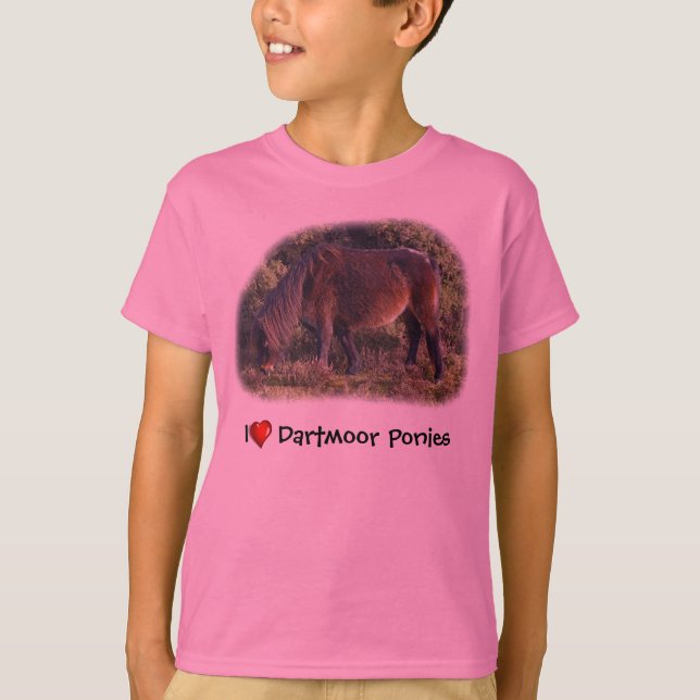 Mim t-shirt dos pôneis de Dartmoor do coração (Frente)