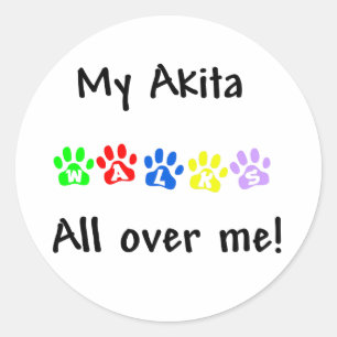 Minha Akita anda por todo o meu adesivo