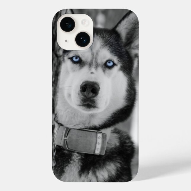 Minha capas de iphone Azul (Verso)