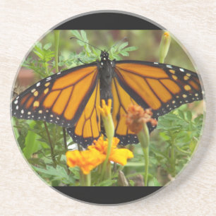 Minha porta copos de borboleta Monarch