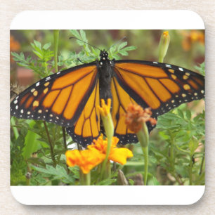 Minha porta copos de cortiça-borboleta Monarch