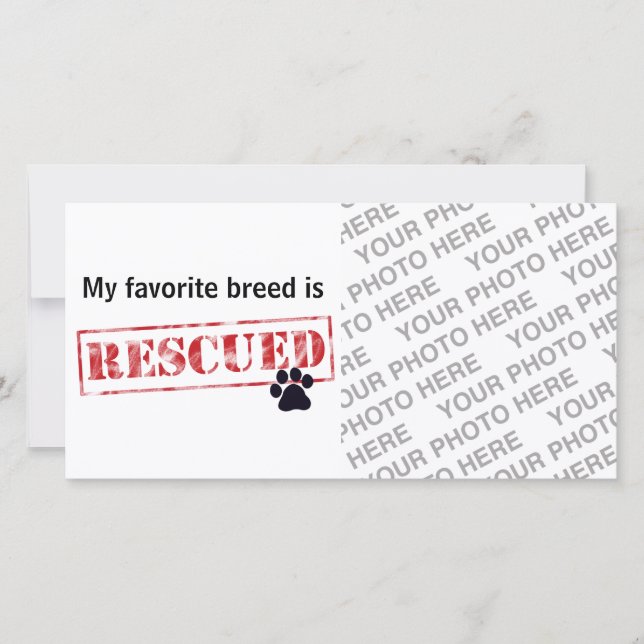 Minha Rama Favorita É Recuperada (Frente)