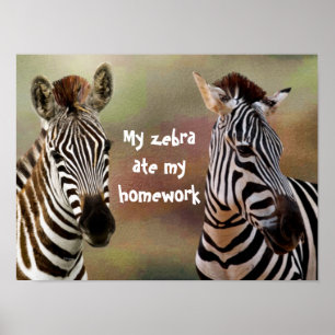 Minha Zebra Comeu Poster de sala de aula de meu tr