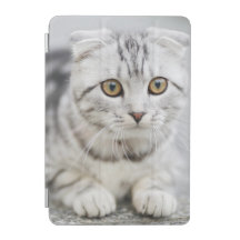  Capa Smart para iPad 7,9 polegadas