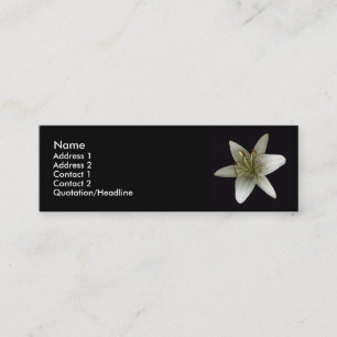 Mini Cartão de visita do Stargazer