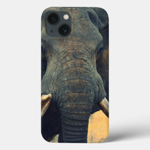 Mini caso do iPad para fechar o elefante selvagem