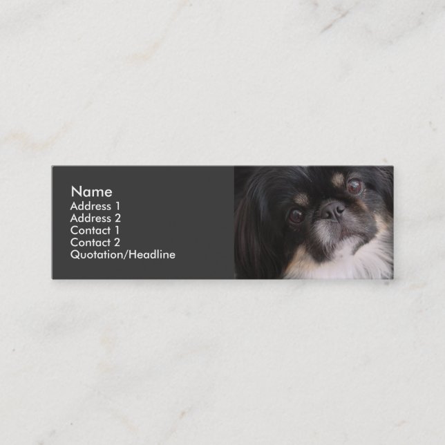 Mini Modelo do cartão de visita - cão de Pekingnese (Frente)