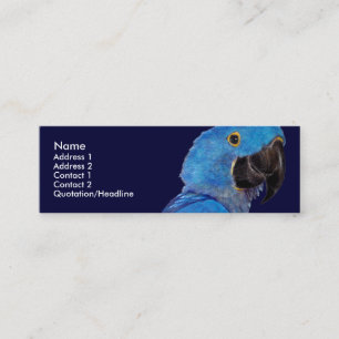 Mini Modelo do cartão de visita - Macaw do jacinto