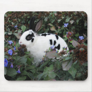 Mini mousepad do coelho de coelho de Rex