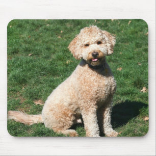Mini mousepad do filhote de cachorro de