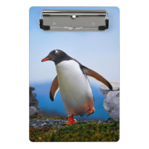 Adicione Seus Próprios presentes personalizados do