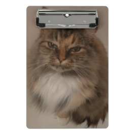 Mini Prancheta Área de Transferência Cat