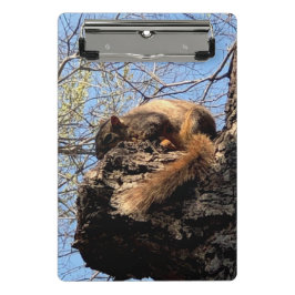 Mini Prancheta Área de transferência de esquilo