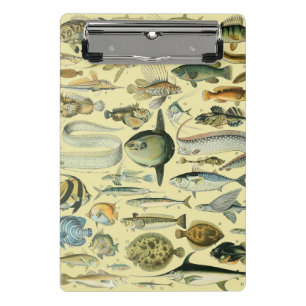 Mini Prancheta Arte De Pesca Científica Dos Peixes Vintage
