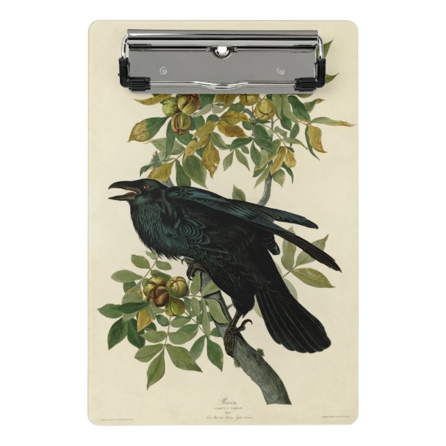 Mini Prancheta Audubon Raven Bird Classic Trabalho de arte (Frente)