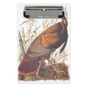 Mini Prancheta Aves da América Selvagem Turca do Audubon