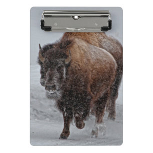 Mini Prancheta Bisonte de Yellowstone