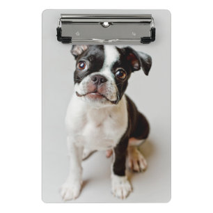 Mini Prancheta Boston Terrier