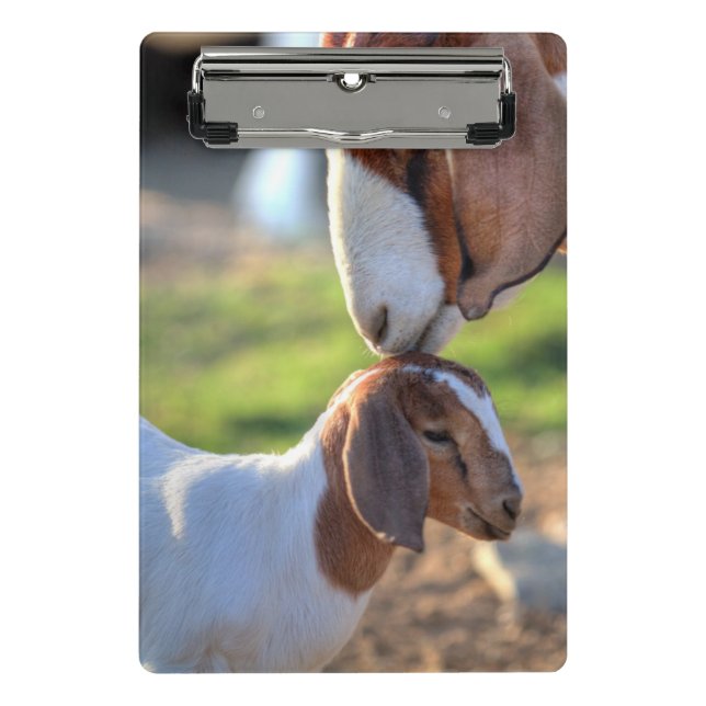 Mini Prancheta Cabra & bebê da mãe (Frente)