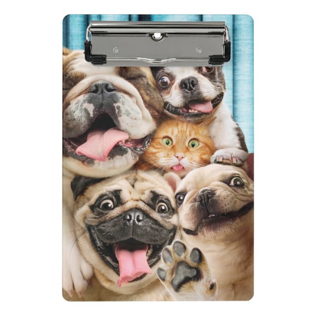 Mini Prancheta Cães e uma Foto de Grupo de Gatos (Frente)